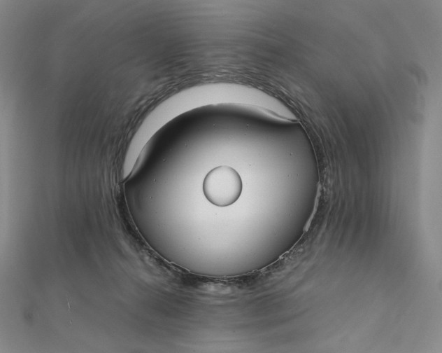X0000112070272200908251049