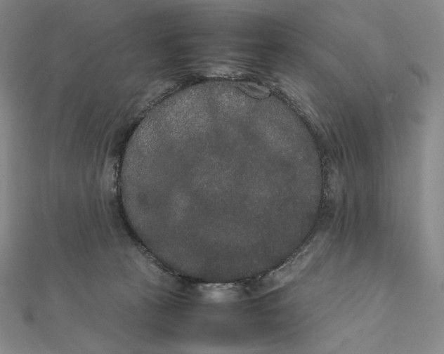 X0000112070273200908251049