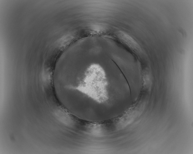 X0000112070276200908251049
