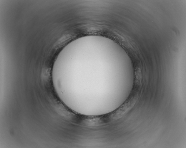 X0000112070278200908251049