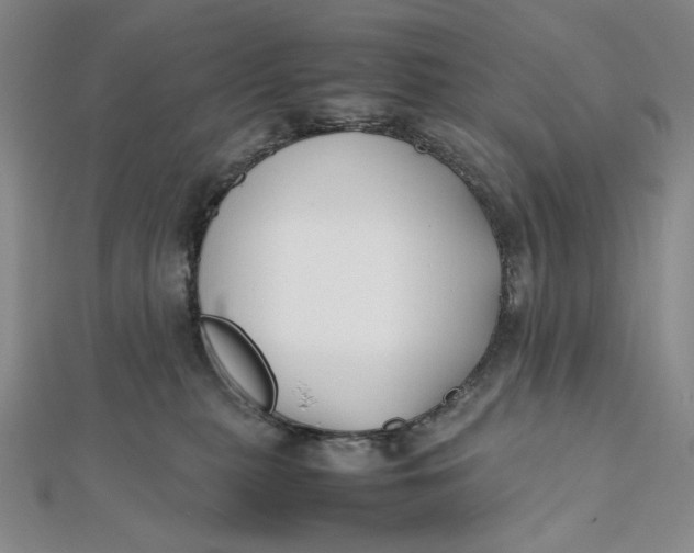 X0000112070279200908251049
