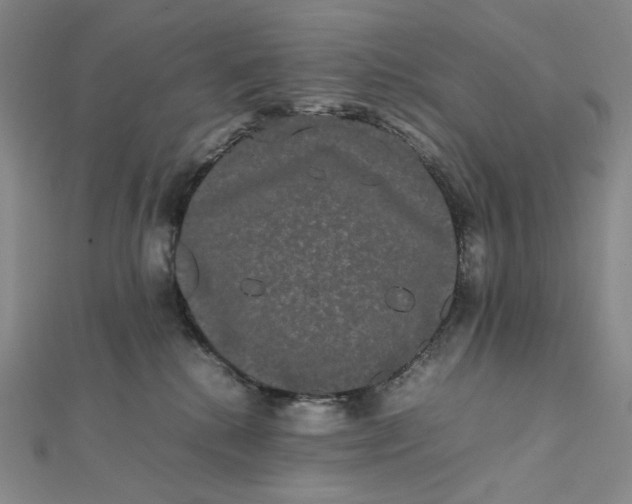 X0000112070280200908251049