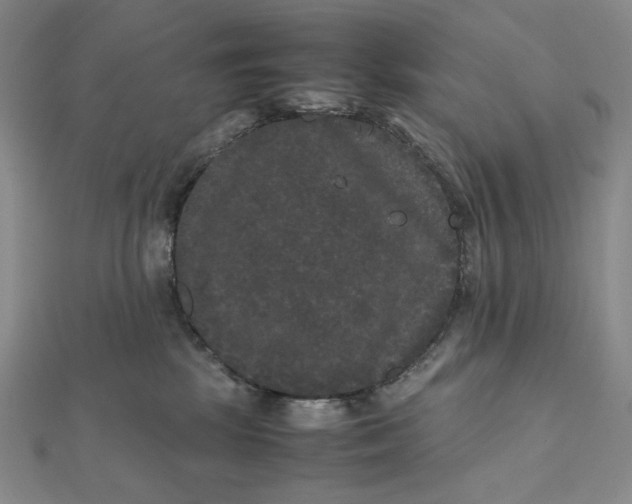 X0000112070281200908251049