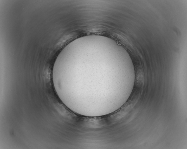 X0000112070282200908251049