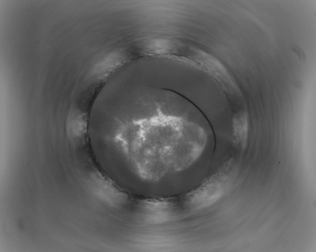 X0000112070284200908251049