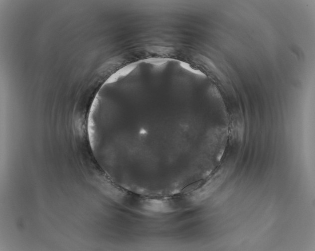 X0000112070285200908251049