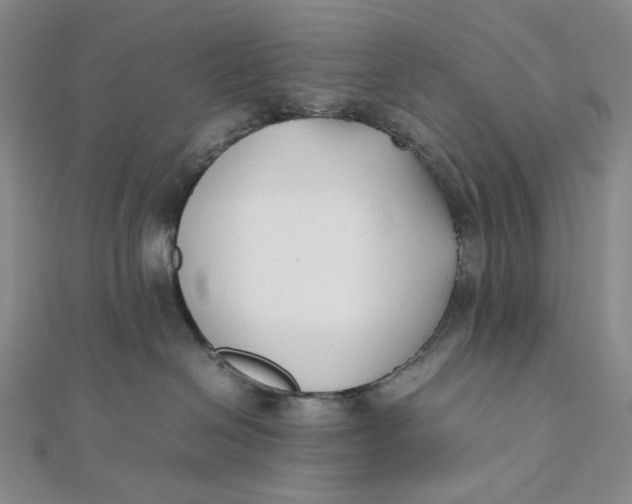 X0000112070286200908251049
