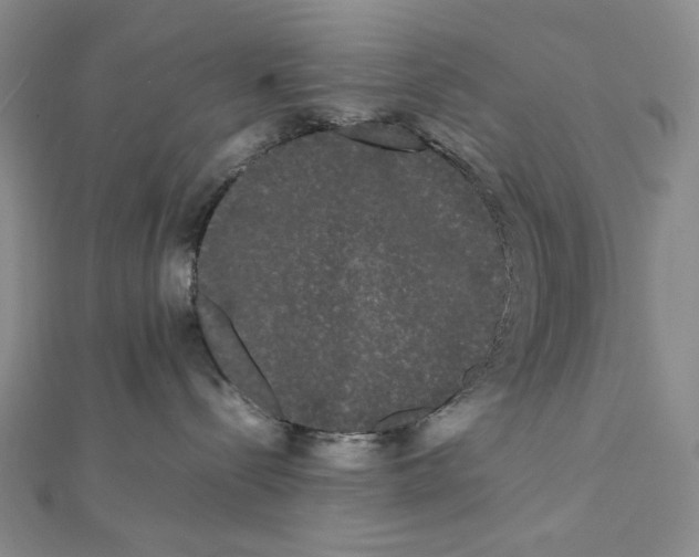 X0000112070288200908251049