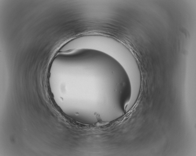X0000112070289200908251049