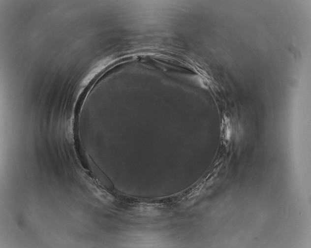 X0000112070292200908251049