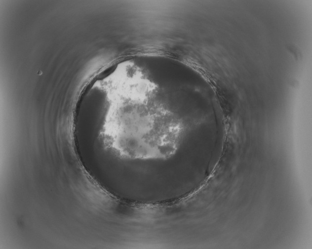 X0000112070293200908251049