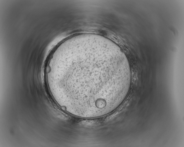 X0000112070294200908251049
