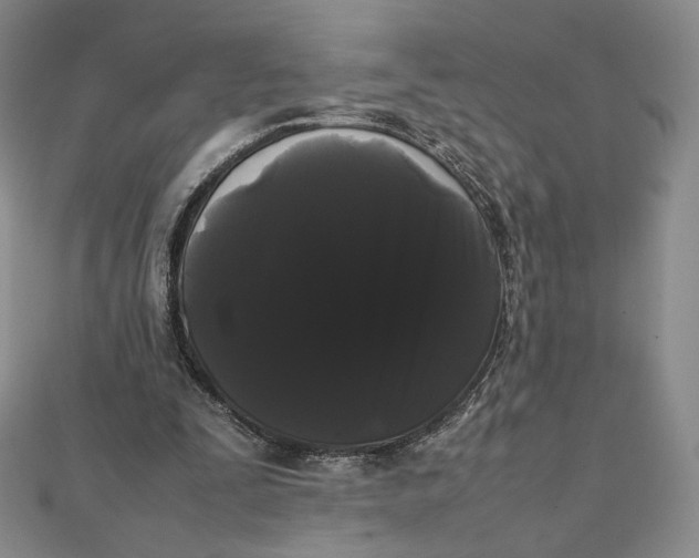 X0000112070295200908251049