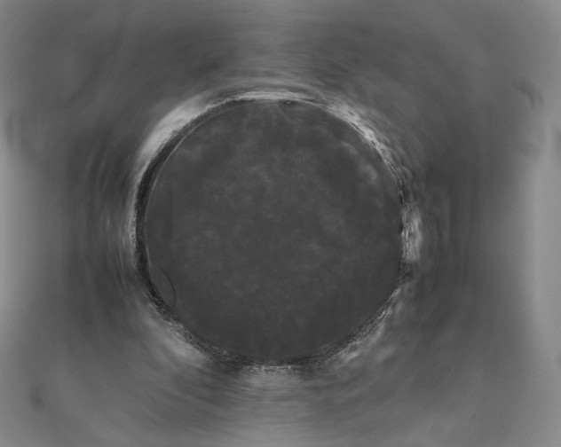 X0000112070296200908251049