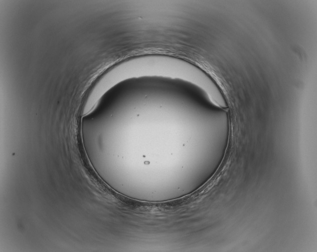 X0000112070297200908251049
