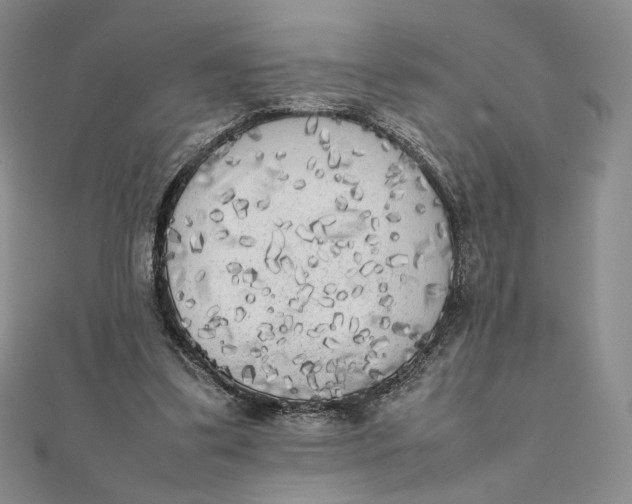 X0000112070299200908251048