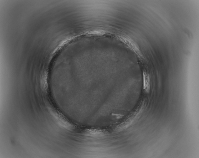 X0000112070300200908251048