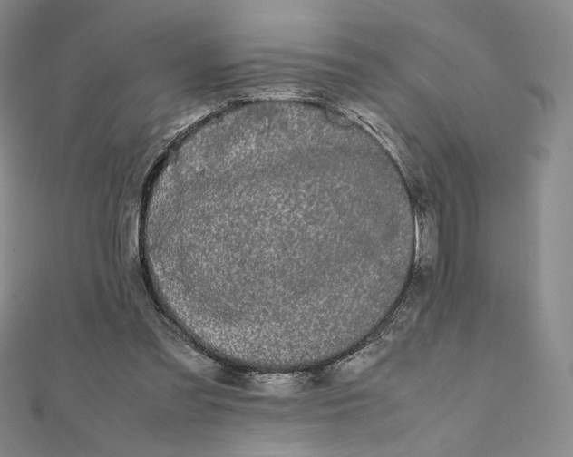 X0000112070301200908251048