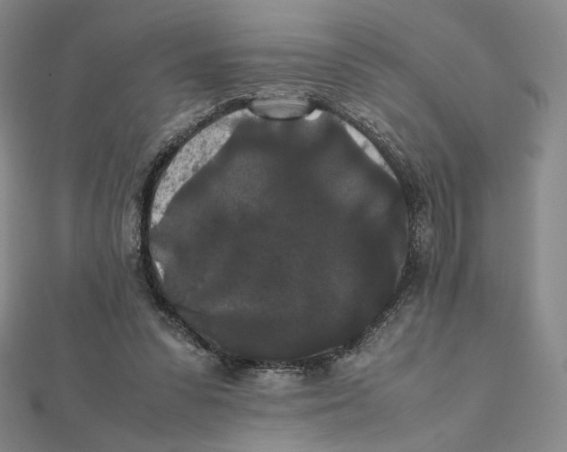 X0000112070303200908251048