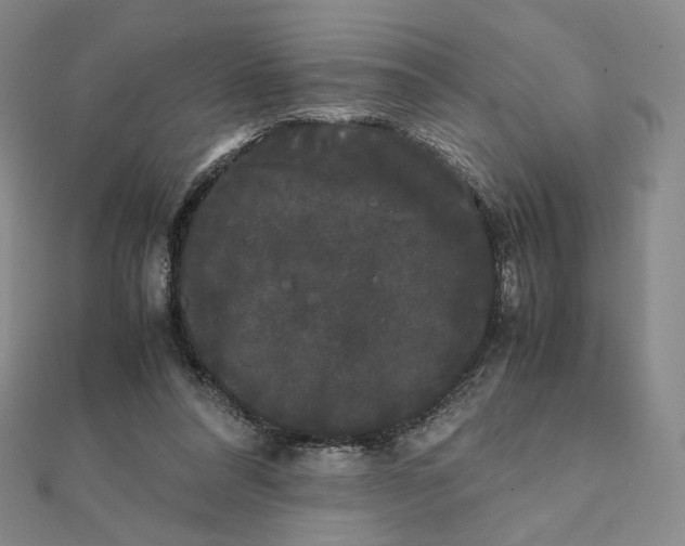 X0000112070304200908251048