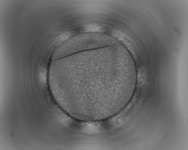 X0000112070305200908251048