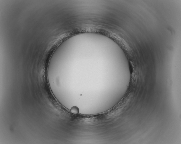 X0000112070306200908251048