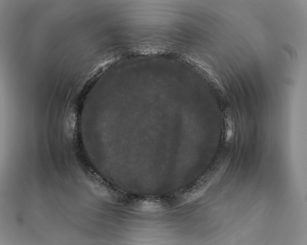 X0000112070308200908251048