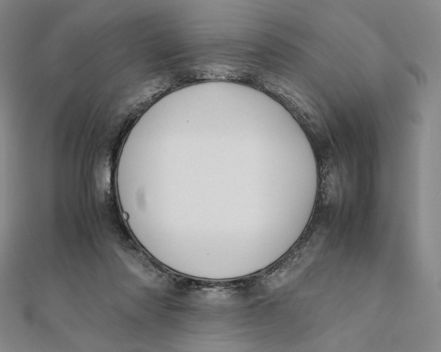 X0000112070310200908251048