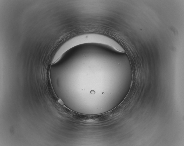 X0000112070312200908251048