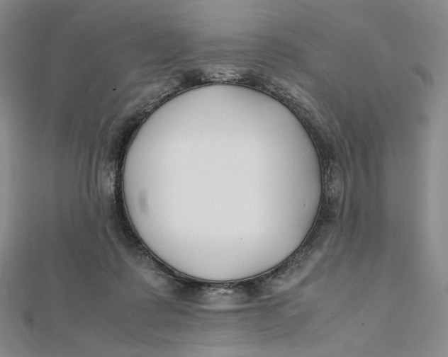 X0000112070315200908251048
