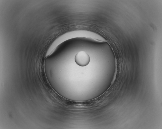 X0000112070316200908251048