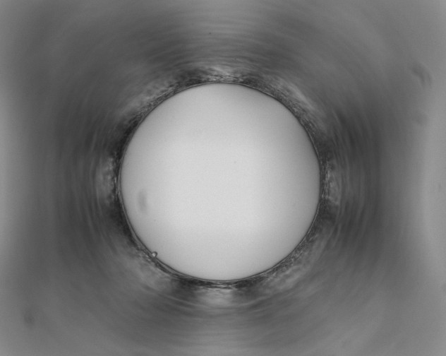 X0000112070318200908251048