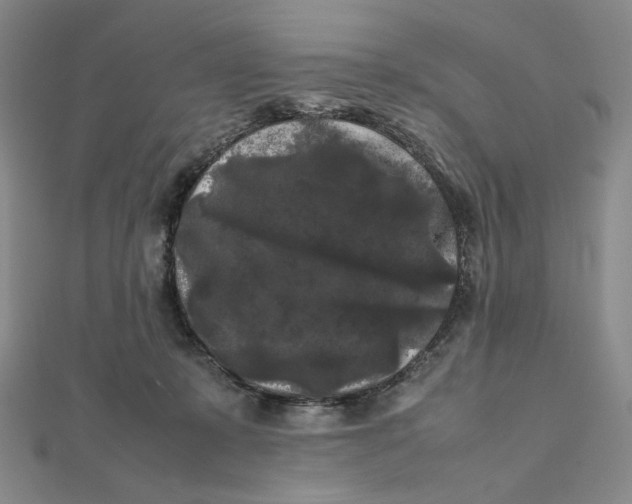 X0000112070319200908251048
