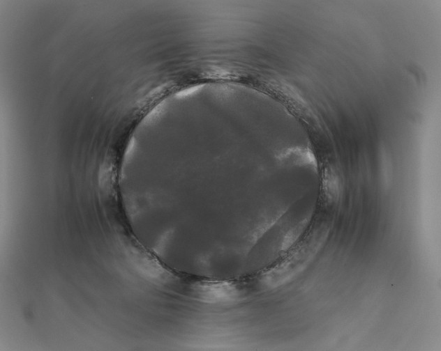X0000112070322200908251048