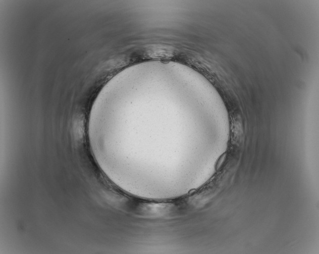 X0000112070323200908251048
