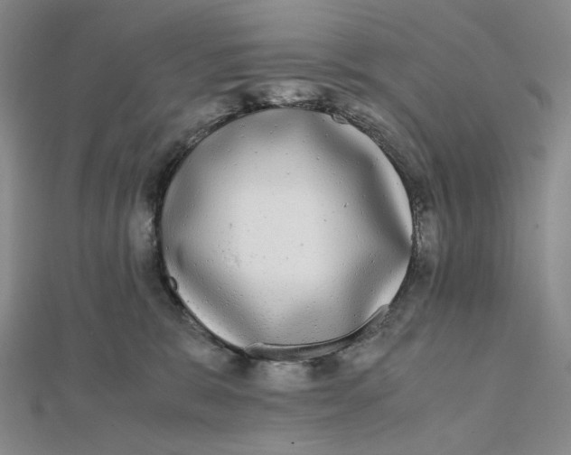 X0000112070327200908251048