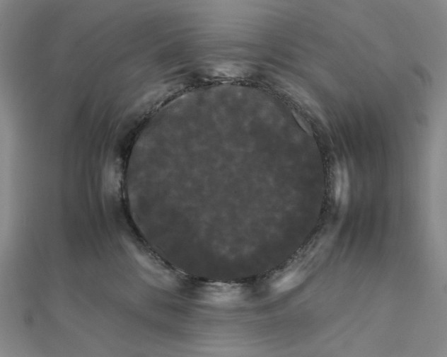 X0000112070328200908251048
