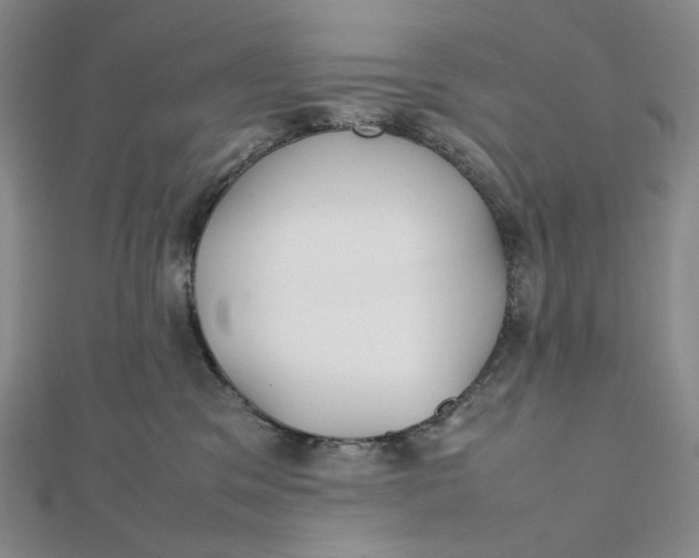 X0000112070329200908251048
