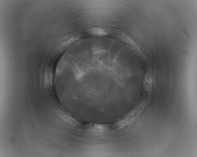 X0000112070330200908251048
