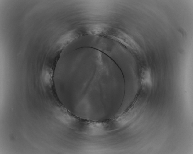 X0000112070332200908251048