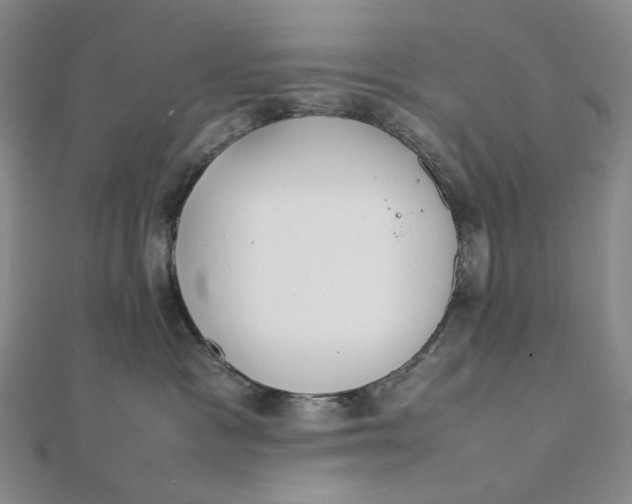 X0000112070333200908251048