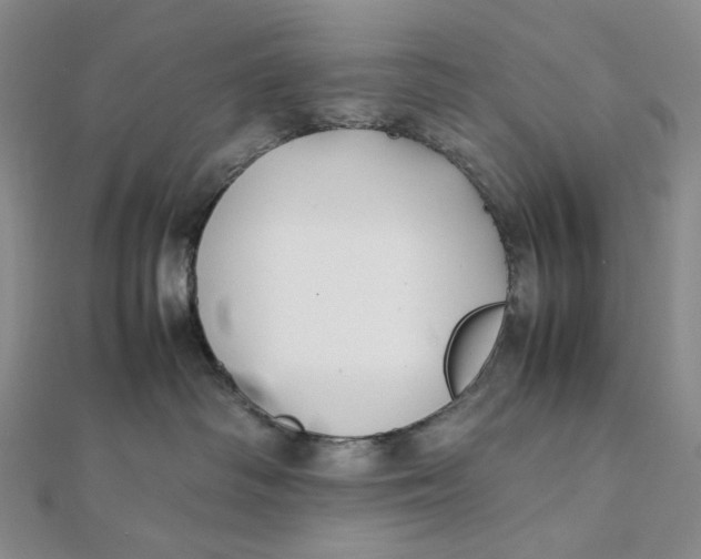 X0000112070334200908251048