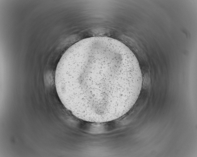 X0000112070335200908251048
