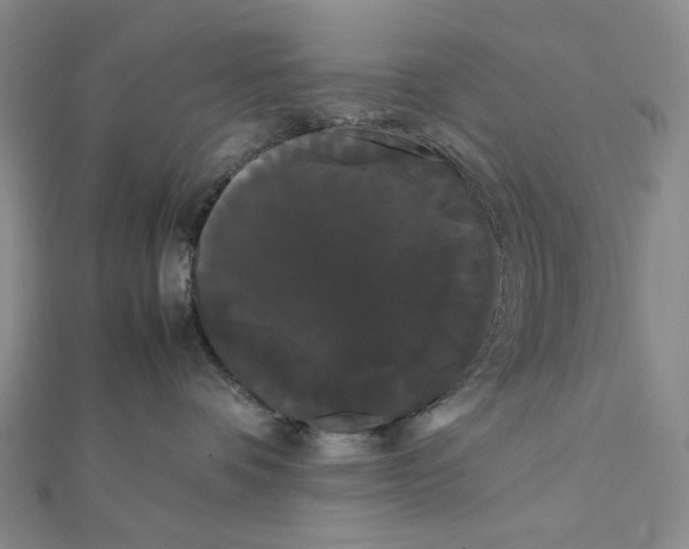 X0000112070336200908251048