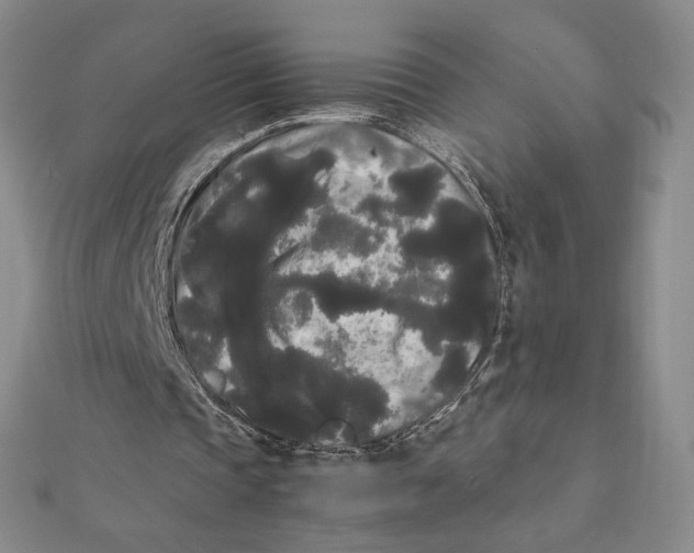 X0000112070337200908251047