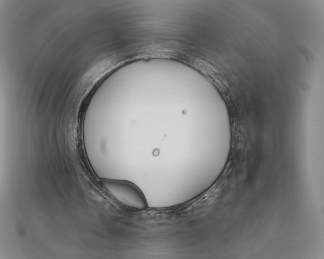 X0000112070338200908251047