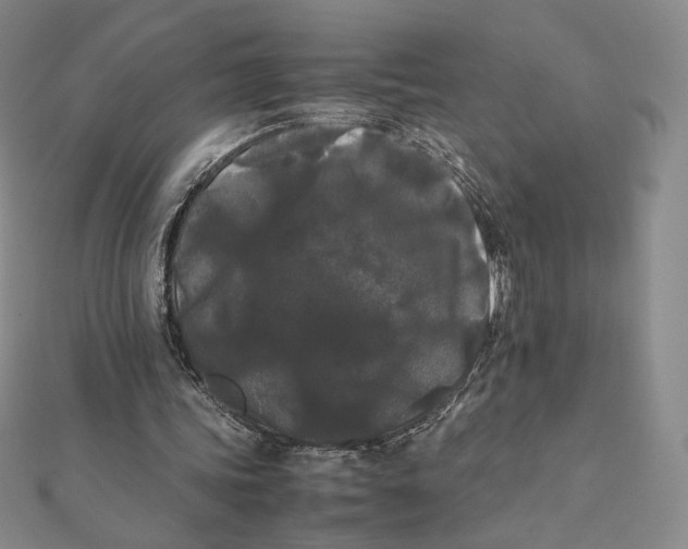 X0000112070339200908251047