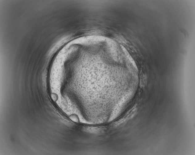 X0000112070341200908251047