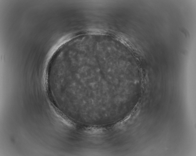 X0000112070343200908251047