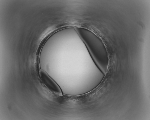 X0000112070344200908251047